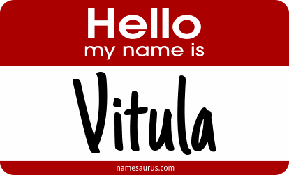 Hello my name is Vitula png download