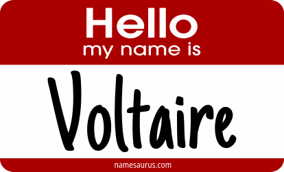 Hello my name is Voltaire png download