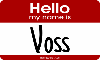 Hello my name is Voss png download