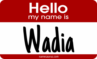 Hello my name is Wadia png download