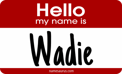 Hello my name is Wadie png download