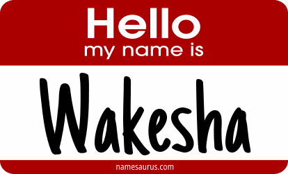 Hello my name is Wakesha png download