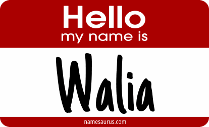 Hello my name is Walia png download