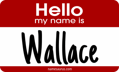 Hello my name is Wallace png download