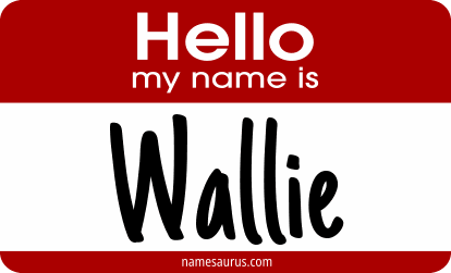Hello my name is Wallie png download