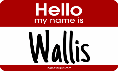Hello my name is Wallis png download