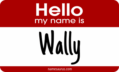 Hello my name is Wally png download