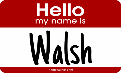 Hello my name is Walsh png download