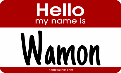 Hello my name is Wamon png download