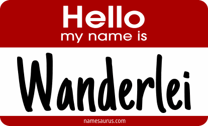 Hello my name is Wanderlei png download