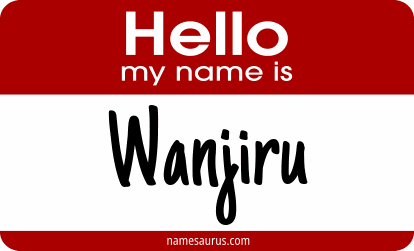 Hello my name is Wanjiru png download