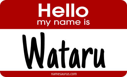 Hello my name is Wataru png download