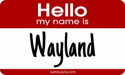 Hello my name is Wayland png download