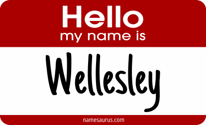 Hello my name is Wellesley png download