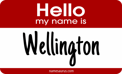 Hello my name is Wellington png download