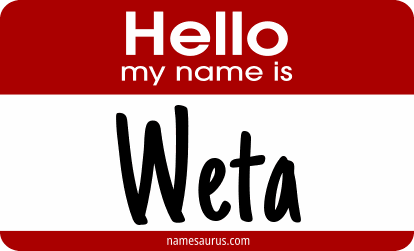 Hello my name is Weta png download