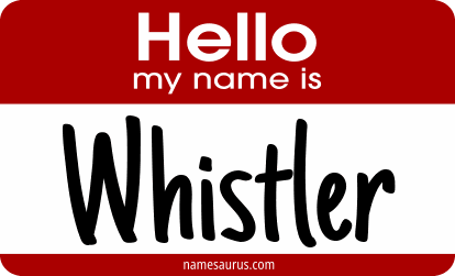 Hello my name is Whistler png download