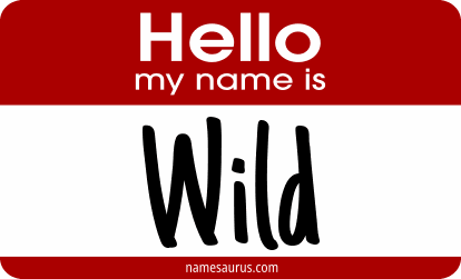 Hello my name is Wild png download