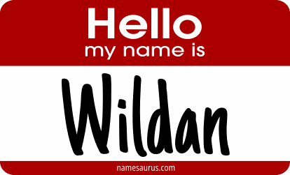 Hello my name is Wildan png download