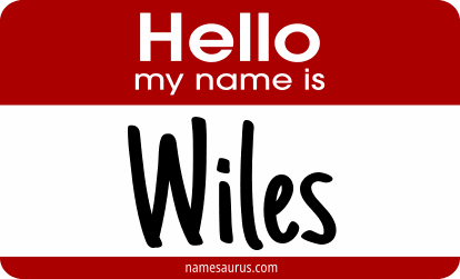 Hello my name is Wiles png download