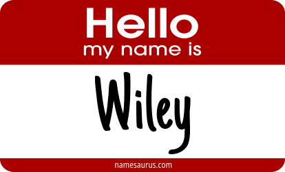 Hello my name is Wiley png download