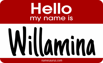 Hello my name is Willamina png download