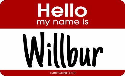 Hello my name is Willbur png download