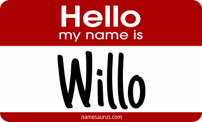 Hello my name is Willo png download
