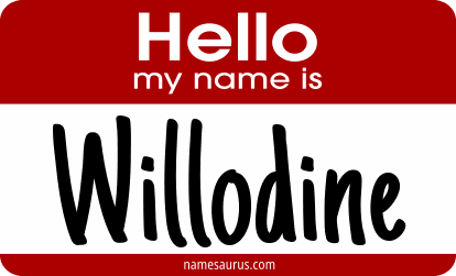 Hello my name is Willodine png download