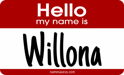 Hello my name is Willona png download