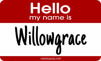 Hello my name is Willowgrace png download
