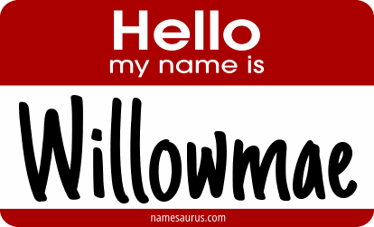Hello my name is Willowmae png download