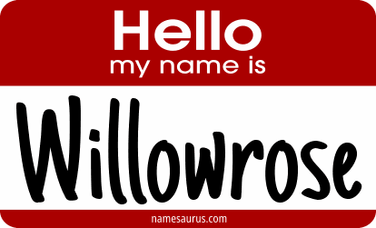 Hello my name is Willowrose png download
