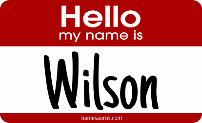 Hello my name is Wilson png download