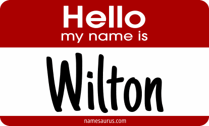 Hello my name is Wilton png download