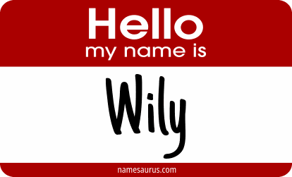 Hello my name is Wily png download