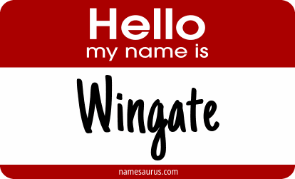 Hello my name is Wingate png download