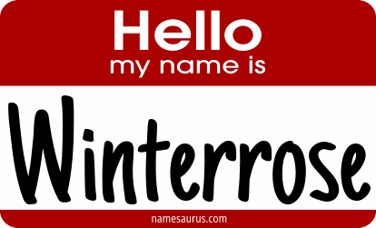 Hello my name is Winterrose png download