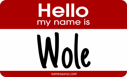 Hello my name is Wole png download