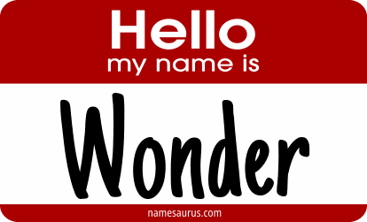 Hello my name is Wonder png download