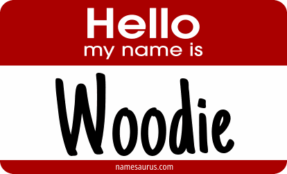 Hello my name is Woodie png download