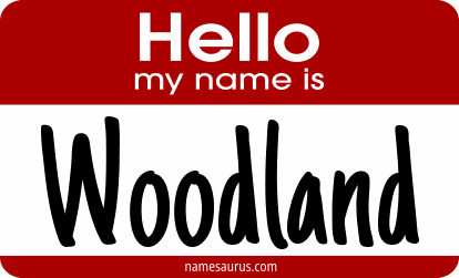 Hello my name is Woodland png download