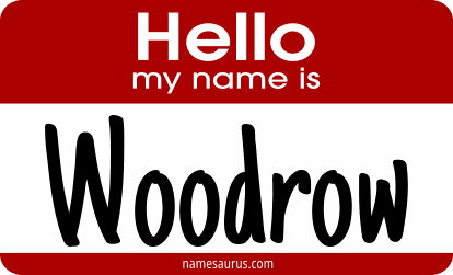 Hello my name is Woodrow png download