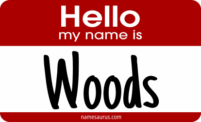 Hello my name is Woods png download