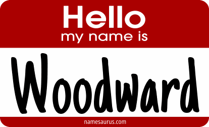 Hello my name is Woodward png download