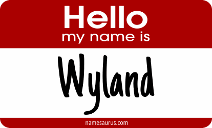 Hello my name is Wyland png download