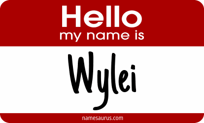 Hello my name is Wylei png download