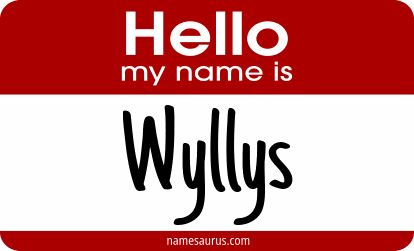 Hello my name is Wyllys png download