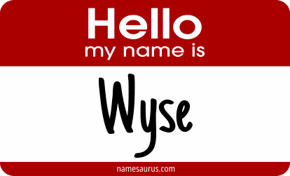 Hello my name is Wyse png download