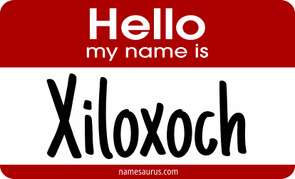 Hello my name is Xiloxoch png download